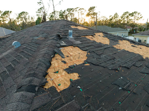 Best Solar Panel Roofing Installation  in Southwest Sandhill, TX